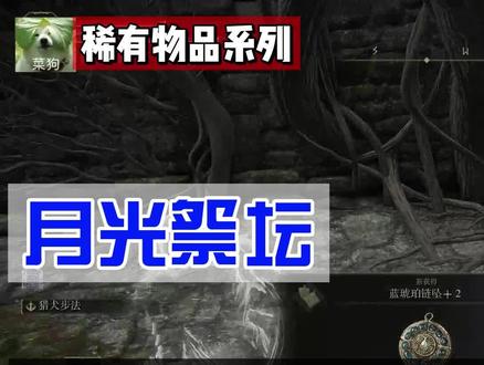 艾尔登法环—【物品搜集系列】”月光祭坛“竟有隐藏门和隐藏护符?你错过了吗? #单机游戏 #老头环教学 #游戏轻教学