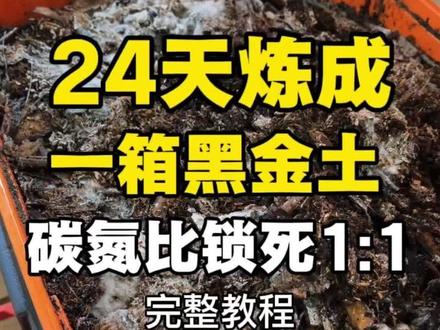 历时24天暴力实测!我将碳氮比锁死1:1,用咖啡渣、鱼肠、木屑、稻壳、甘蔗皮,高温“炼”出一箱黑金土。这才是变废为宝的硬核答案!
完整教程如下,一步步教你搞定暴力堆肥。
#高温堆肥 #堆肥 #阳台种植 #变废为宝 #生活小妙招