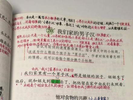 #四年级下册语文 四年级下册《我们家的男子汉》