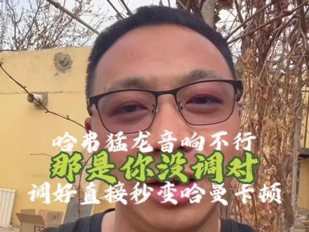 哈弗猛龙音响不行?那是你没调对!调好直接秒变哈曼卡顿! #哈弗猛龙 #每天一个用车知识 #国产车 #开猛龙的小老弟 #dou是好车 @DOU+小助手