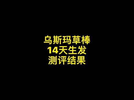 真实自用测评#乌斯玛草棒