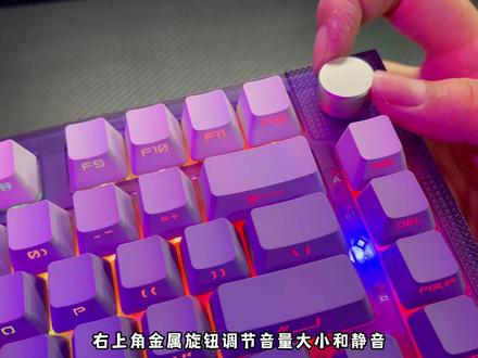 雷咖泽KW75pro,紫色渐变侧刻键帽+gasket结构+RGB+全键无冲热插拔,帅不帅你们来决定!#雷咖泽kw75pro #游戏外设 #机械键盘