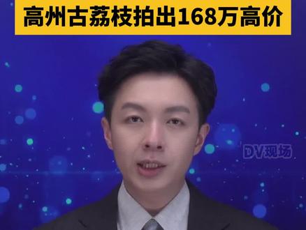 一颗190块! 高州古荔枝拍出168万高价 #dv速报