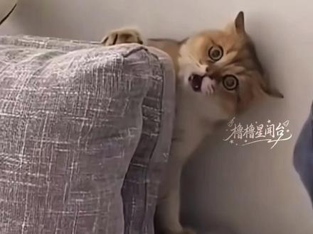 诋毁的话请三思而后行,也请大家擦亮眼睛不要被不实信息蒙骗,王橹杰的努力不该被抹黑。#澄清#中考成绩#养成系#原创#王橹杰