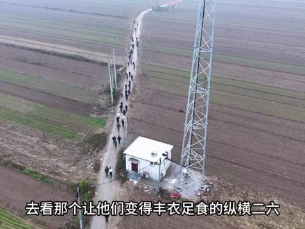 风雨过后,纵横26高产依旧!#纵横26 #北京纵横种业 #冰雪风暴 #反转 #影视解说