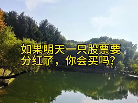 如果明天股票分红,那你今天会买吗?#炒股感悟