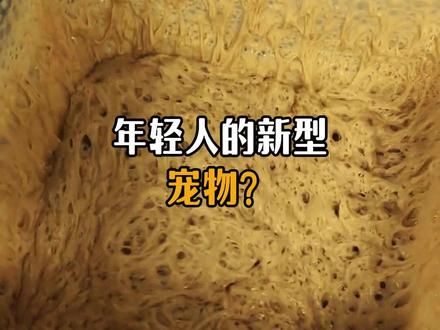 年轻人的新型宠物?#科普 #涨知识 #面蛊