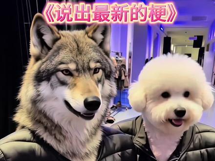 你们还知道什么梗#搞笑 #一定要看到最后 #创作者扶贫计划 #梗百科 误闯天家靠靠你们的眼力#内向