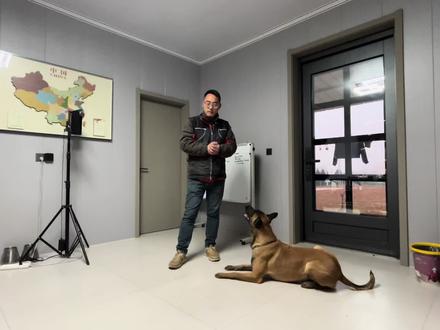 注意力训练方法 #工作犬 #训狗