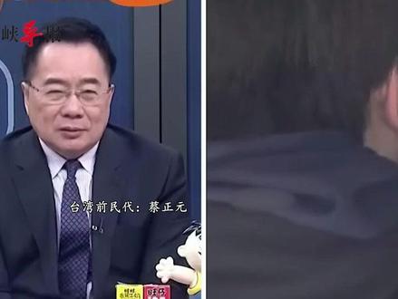 旅日大熊猫顺利回国 蔡正元:日本民众怒气会直指高市早苗