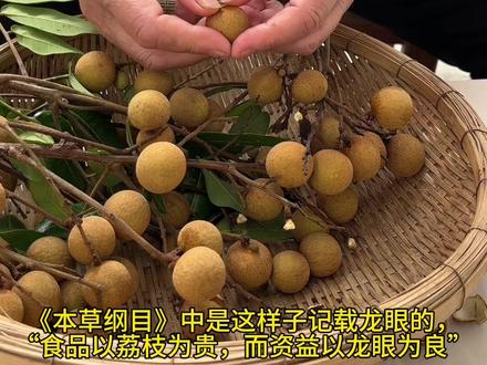 吃剩的龙眼核,村里的老人会把它磨成粉。#我的乡村生活