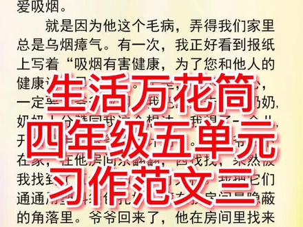 四年级第五单元作文《生活万花筒》精彩范文三