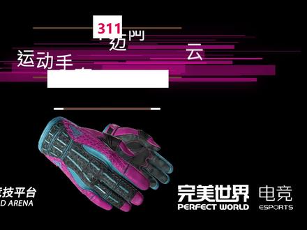 运动手套(★) | 迈阿密风云 怦然心动 #csgo