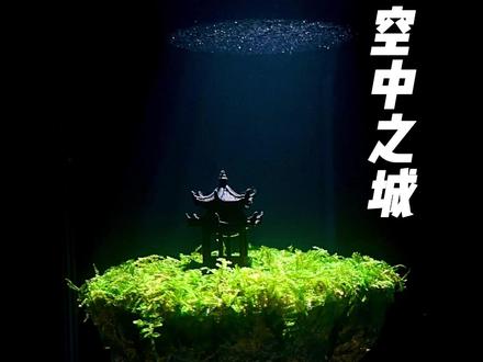 挑战制作一个空中之城鱼缸造景 #造景 #手工 #鱼缸