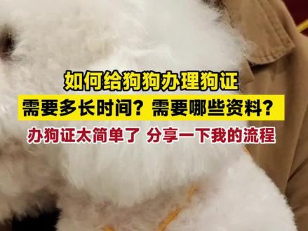 如何给狗狗办理狗证?需要多长时间?需要哪些资料?办狗证太简单了 分享一下我的流程#办狗证#办理#鹤壁