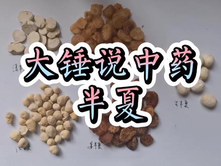 生半夏小馒头,清半夏有两种,姜半夏和法半夏又是怎么一回事呢?