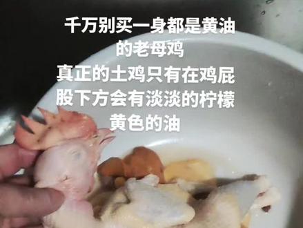 别买色素老母鸡#美食 #老母鸡汤
