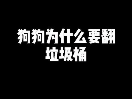 狗狗为什么要翻垃圾桶?#狗狗 #宠物 #宠物知识