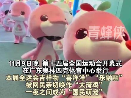 #大湾鸡幕后训练 直击“大湾鸡”幕后“养殖基地”,网友:这动作我跳两下医保卡就没了 #十五运 #大湾鸡