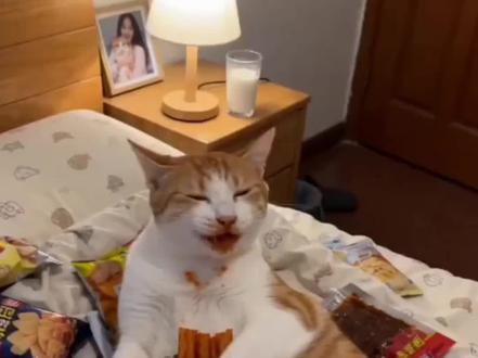 偷吃辣条被抓ai
偷吃辣条被抓
偷吃辣条被抓到#我的萌宠 #偷吃辣条被发现
偷吃辣条被抓ai怎么弄
猫咪偷吃辣条被抓
偷吃辣条被抓教程
小狗偷吃辣条被抓
偷吃辣条#剪映
偷吃辣条被抓ai特效
偷吃辣条被抓ai指令