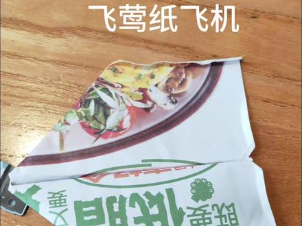 中国纸飞机大神,纸飞君设计的一款纸飞机,叫飞莺