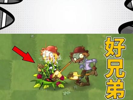 植物大战僵尸2:如何解除荆棘藤蔓的束缚? #植物大战僵尸2