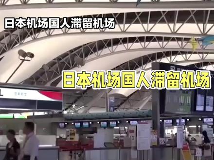 12条赴日航班取消,代价为何如此沉重?