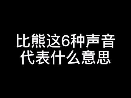 比熊这6种声音代表什么意思#萌宠 #比熊 #狗狗 @抖音小助手