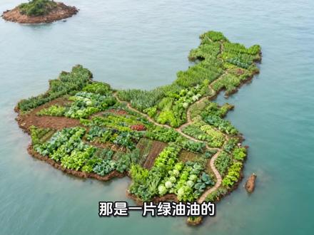 五年级语文上册第15课讲述《小岛》的故事