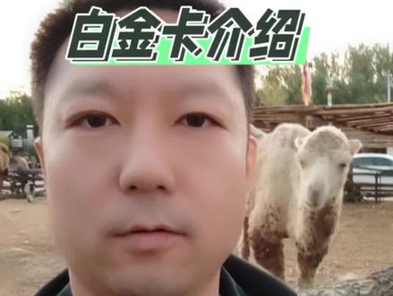 建设银行白金卡