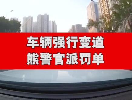 举报违法处理 #冬季交通安全知识点 #熊熊call你