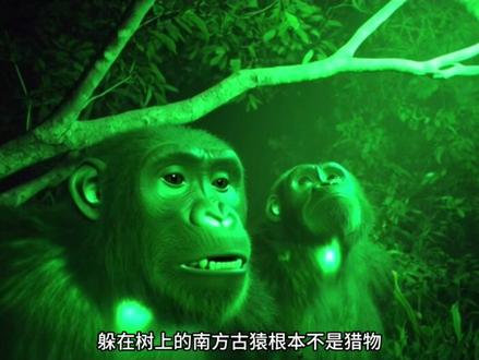 你知道为什么大自然里面只有人类没有天敌吗?其实是他们灭绝了#古人类 #人类 #恐猫 #人类演化 #科普