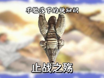 止战之殇是什么梗?出自哪里? #梗百科 #梗 #止战之殇