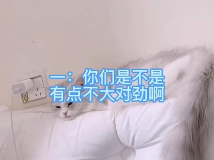 #snh48 #诗情画奕 小王 别解释了 这非常河里🌚#诗情画奕cp