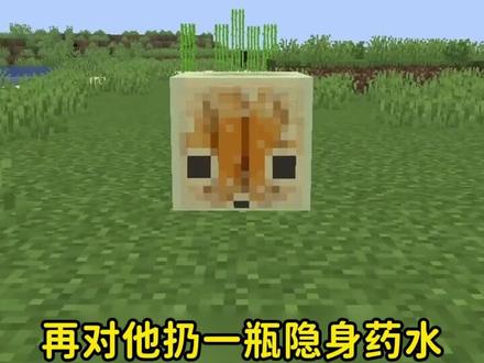 我的世界:9种硫磺冷知识,无限繁殖教程#我的世界#我的世界minecraft #我的世界中国版 #mc