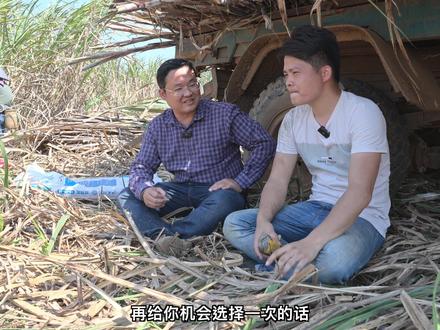 中国糖都广西崇左,砍甘蔗是最辛苦的农活!蔗农如何寻求出路? #机械化农业 #砍甘蔗 #三农 #农民种地不容易