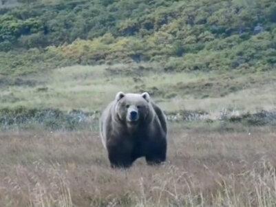 美国发布最高级别赴日旅游警告 #