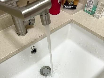 给蛤蟆洗澡,今天洗的是母豹子。做酱焖蛤蟆之前都需要好好洗洗。#林蛙#雪哈#蛤蟆#酱焖林蛙#酱焖蛤蟆