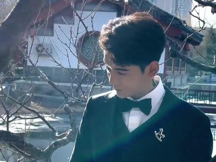 #生命树 藏民的生活哲学,就是直来直往爱就爱了~人生就是旷野,不要拘束于多余的人际关系不拘束于身体#杨紫 #生命树杨紫守护高原绝境