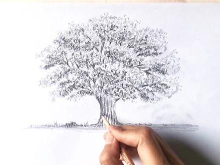 铅笔画入门-如何画一棵大橡树 三支铅笔就可以 #手绘 #铅笔画 #树的画法