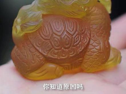 龙龟不是玄武。龙龟也不是每个生肖都适合奉请的,你知道原因吗?#龙龟 #玄武