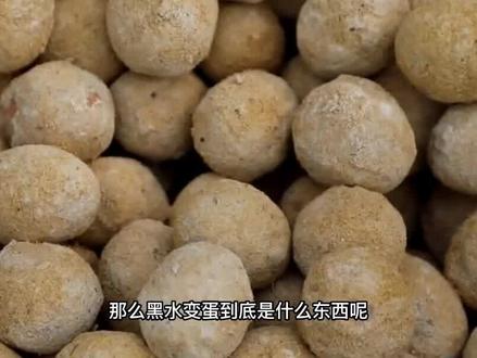 河南灵宝的黑水变蛋,打开只有汤水像烂鸡蛋,吃一口停不下来? #黑水变蛋 #科普