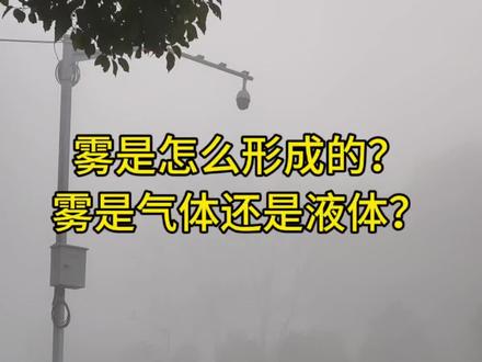 雾是怎么形成的?雾是气体还是液体?#迷雾 #物理 #科学启蒙 #天气预报 #液化