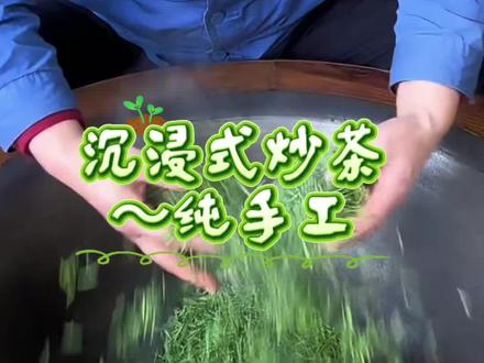 沉浸式手工炒茶的过程#茶人茶事茶生活#陕西茶业#农茗园茶叶#泾阳茯茶#春茶季
