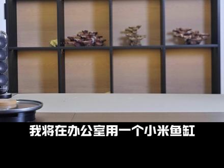 办公室的奇妙海洋之旅,邀请你来参与 #小米鱼缸改造 #微缸 #新手下海 #桌面海缸 #海缸珊瑚