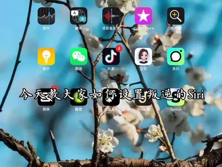 “叛逆的Siri”设置教程
#教程
