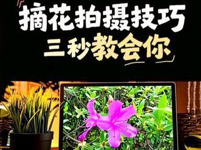 隔着屏幕摘花的视频,原来是这样拍摄剪辑的,三秒教会你#短视频创业 #保姆级教程#自媒体 #趣味视频#dou上热门 @抖音创作小助手。 @DOU+小助手 @抖音小助手 @DOU+上热门