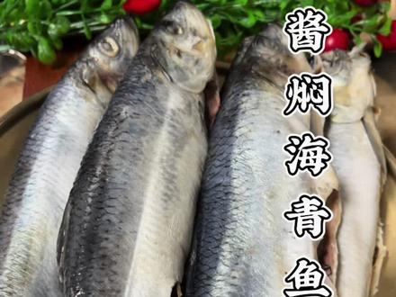 酱香海青鱼#美食教程 #农村美食 家常菜