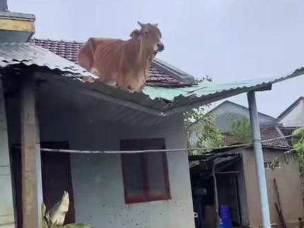 帮忙想想办法吧🤔?怎么把它弄下来#我太难了😂