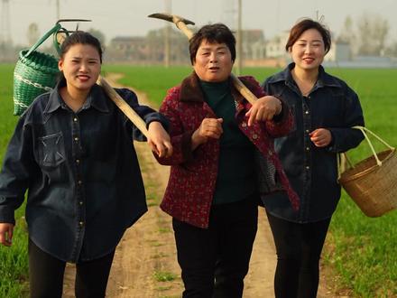 俺婆婆带上两个漂亮儿媳妇到地头上刨洋芋头,哈哈……你们都吃过吗?老王婆婆还是一如继往的有材料,哈哈……#我的乡村生活 #乡村守护人 #抖音乡村生活家 #新农人计划2022